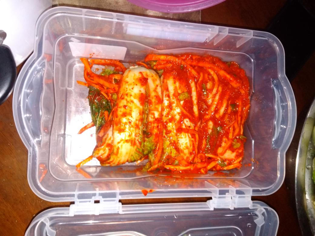 Homemade Kimchi ❤️❤️#korean #homemadekimchi