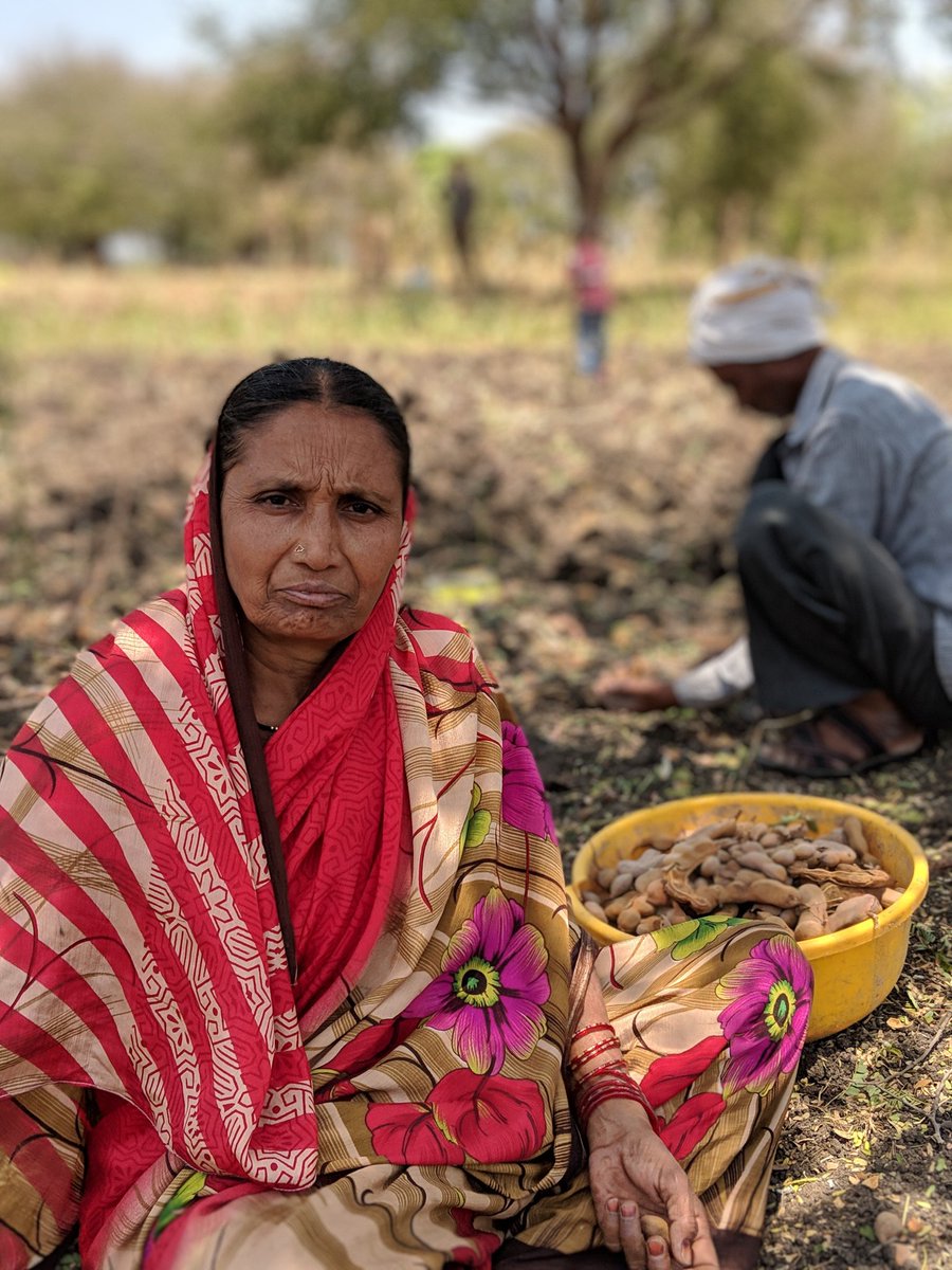 21Organic's tweet photo. Tamarind times.

The season is over but we see this family come together to harvest the last of what the tree has to offer. 
#eatseasonal #organicvegetables #organicfruits #homedeliveryservice
#mumbai

https://t.co/sRS4HzAjNp

https://t.co/h6J95tsqo6 https://t.co/MON2vwsh38
