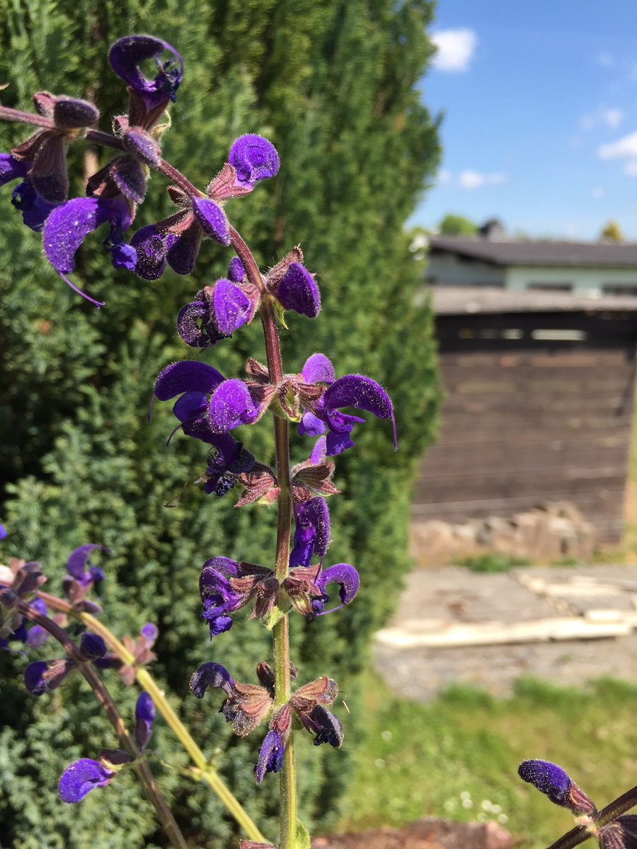 ReclayGroup's tweet image. #PhotosOfMyLife Day 2/7. Jeden Tag ein Foto. Eine Woche lang. Keine Menschen, keine Erklärungen. Jeden Tag eine Einladung, sich zu beteiligen. Danke an 
@bvsenews Hello @VVergleich