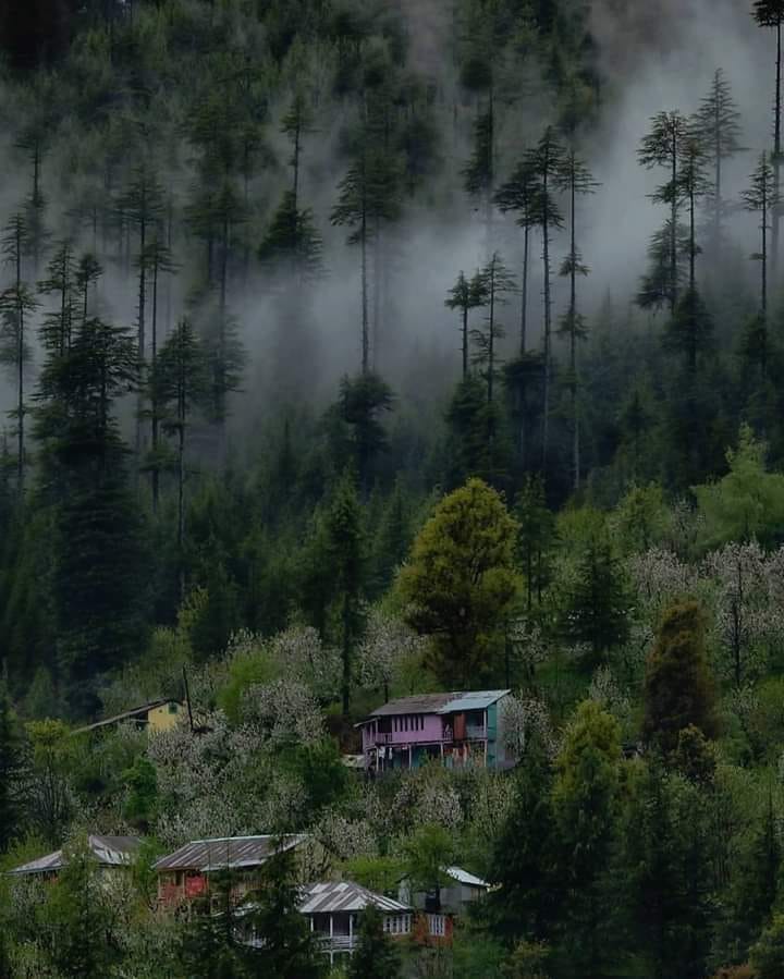 tripnxt's tweet photo. Land of the Natural Beauty. Nasogi Village, India
Book your unique tour: https://t.co/IX0W7zl4S2
#uttrakhand #deoban #dehradun #nanital #travel #explore_you #the_himalaya #Himalayas #devbhoomi #ExploreLikeNeverBefore #travel_with_tripnxt #tripnxt #india https://t.co/t5xtAdR2hN