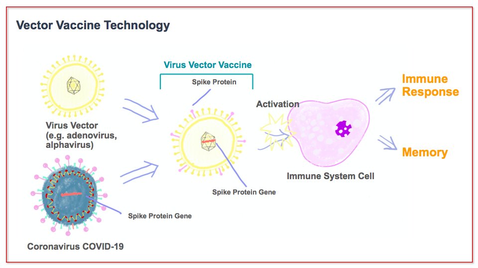 There are several institutes and companies studying vector vaccines such as biotechnology company AstraZeneca  @AstraZeneca and the University of Oxford. Want to know more?  https://twitter.com/SkyNews/status/1263416139742351360?s=20