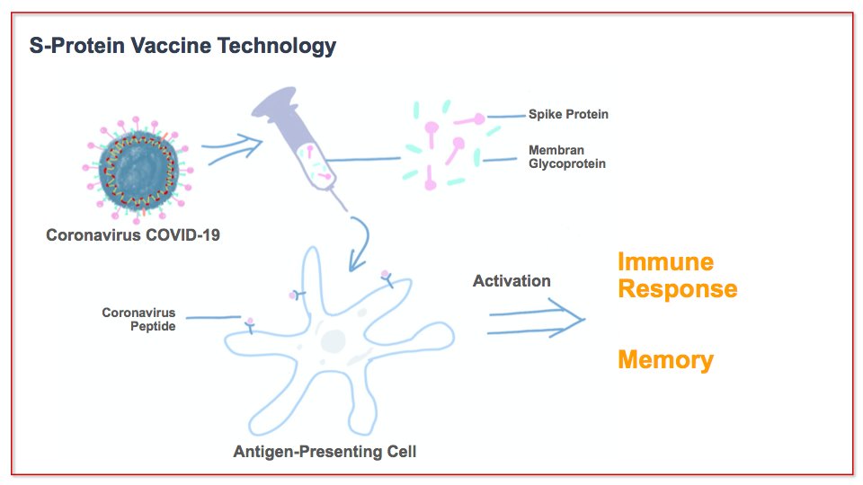 The vaccine company Novavax  @Novavaxdeveloped a recombinant protein vaccine, which contains recombinant spike protein nanoparticles. The testing stage is now in human trials. Read more at  https://twitter.com/WSJ/status/1265032425907851270?s=20