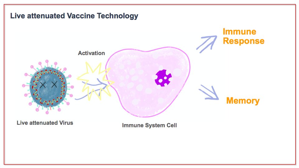 In the first trial in humans, it was found that the vaccine may cause adverse reactions such as fever, pain and joint pain, but it usually recovers within 24 hours. The vaccine will soon step into phase II trial.