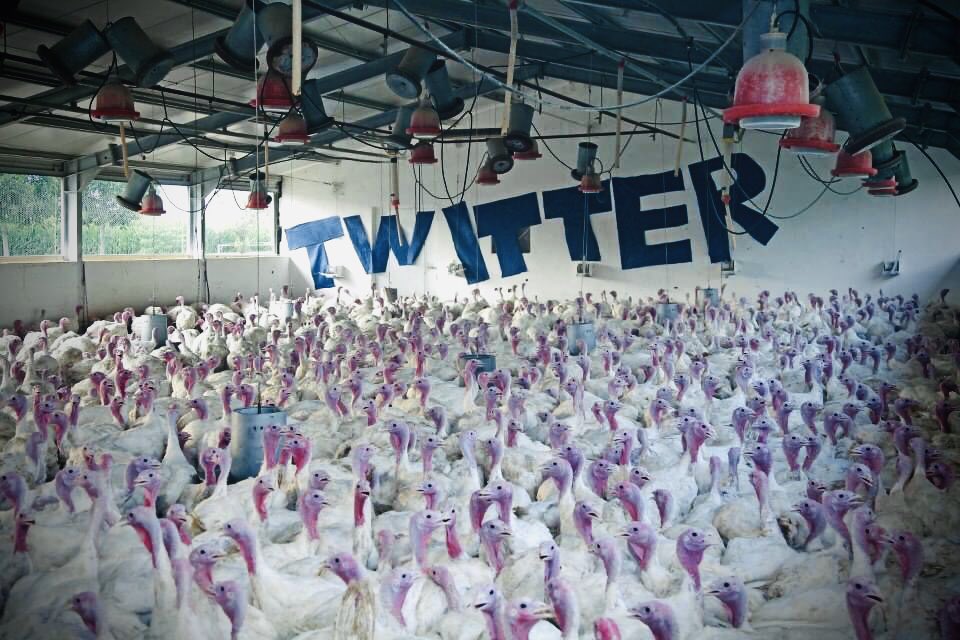 Edbanbert's tweet image. 