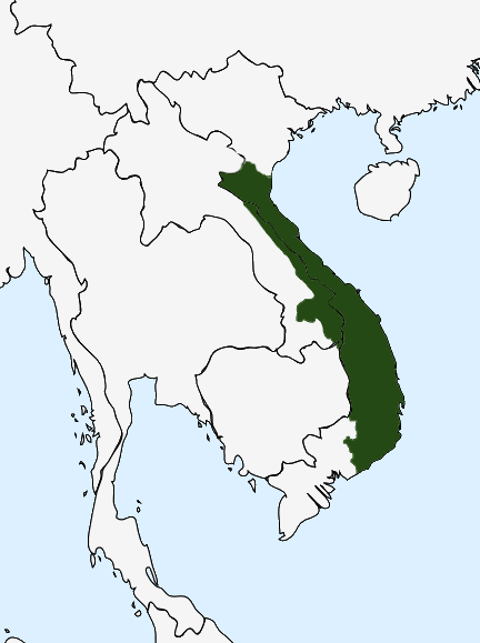 Some tweets on the Cham kingdom & My Son temple complex.Kingdom of Champa(192-1832) ruled over Southern and Central Vietnam, established by Cham people - an ethnic group of Austronesian origin, it was a Hinduized kingdom & culture. https://twitter.com/DrSJaishankar/status/1265520811546488833?s=19