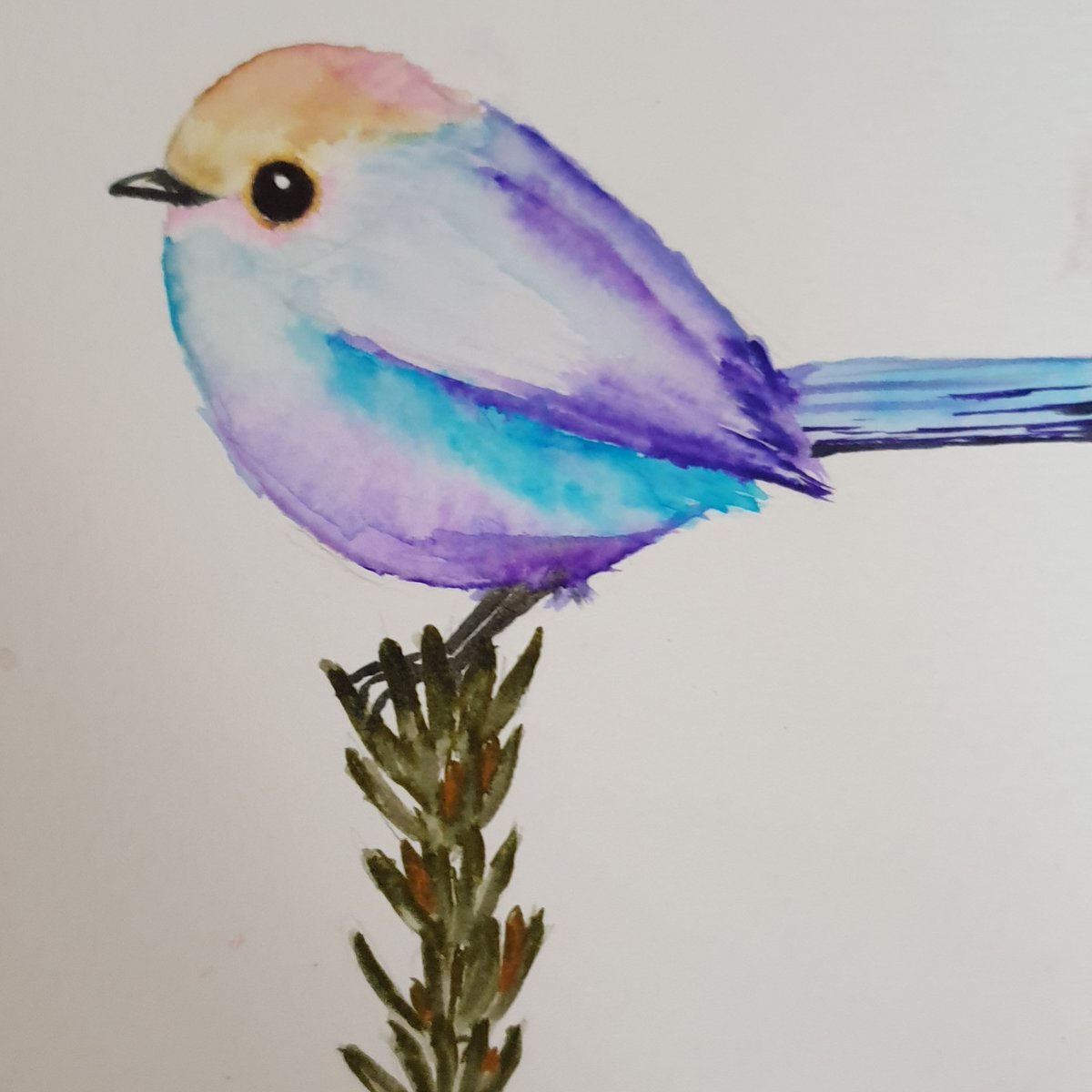 hatcakap's tweet photo. Lokum gibi, gökkuşağı gibi bir kuş. 
#hergüne1kuş #titwarbler #birdpainting #birdfreak #birdsofinstagram #birds https://t.co/IGpVynMojI