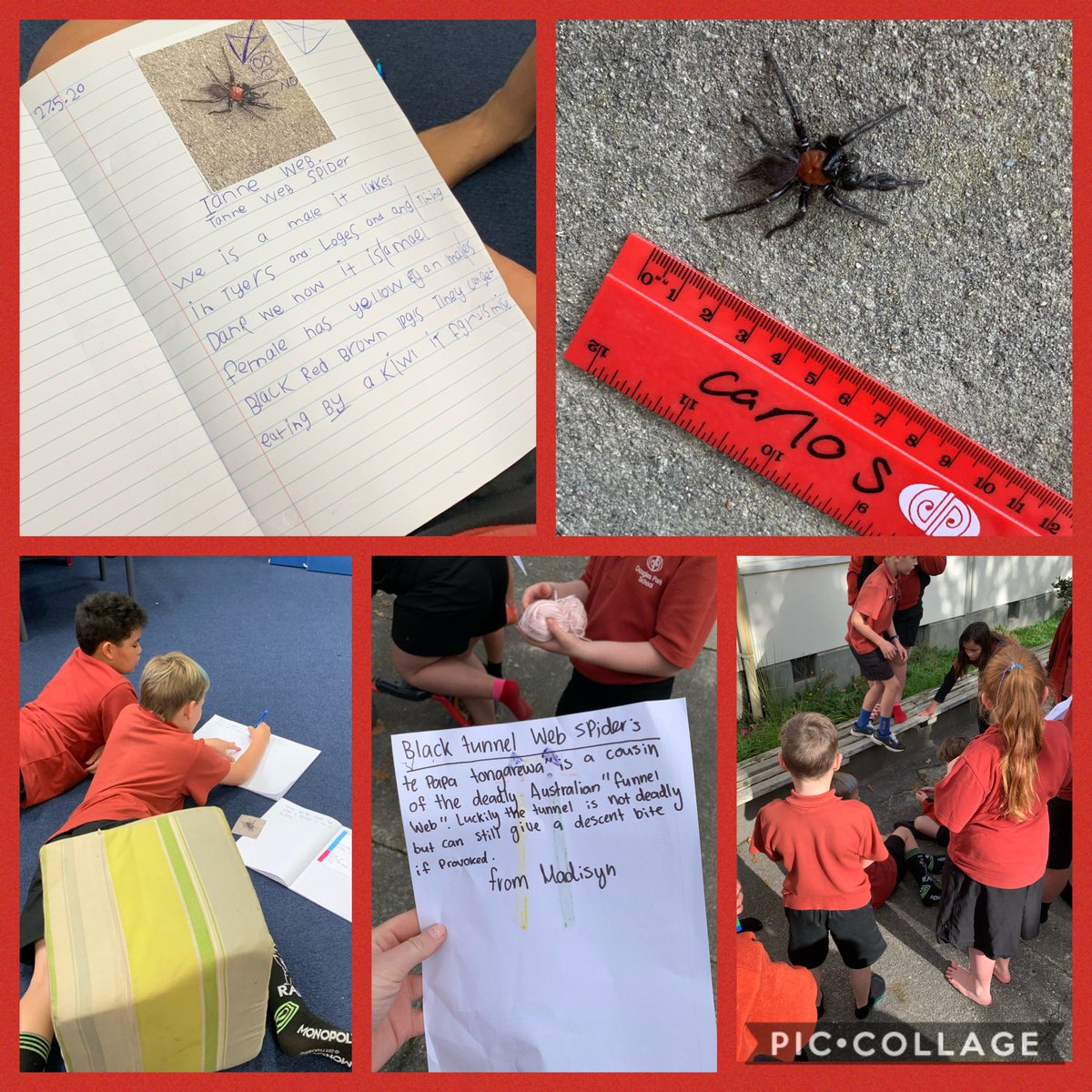 Megan Fraser tweet media