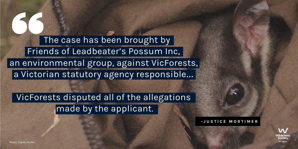 Today's outcome from the Friends of Leadbeater’s Possum Inc v VicForests case is seismic. It's clear when you read some of the findings from the case summary by Justice Mortimer in this thread. #FLBPvVicforests Summary  https://www.judgments.fedcourt.gov.au/judgments/Judgments/fca/single/2020/2020fca0704/summary/2020fca0704-summary @LeadbeatersPoss  #auspol  #springst