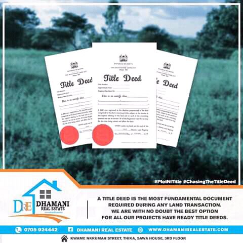 ErickOindo's tweet photo. We care for all your investment needs. Contact us. #Dhamanirealestate https://t.co/Jrapb08e3G