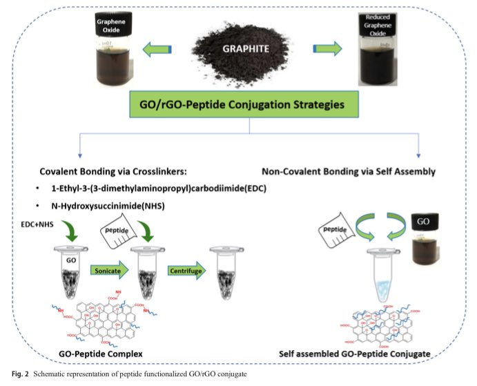 Shubhijoshi4's tweet photo. Read my publication ‘A review on peptide functionalized Graphene derivatives as nanotools for biosensing’. @SpringerOpen #nanobio #wondermaterial #graphene https://t.co/TSYvvOMyQX https://t.co/0hxCSPxdOz