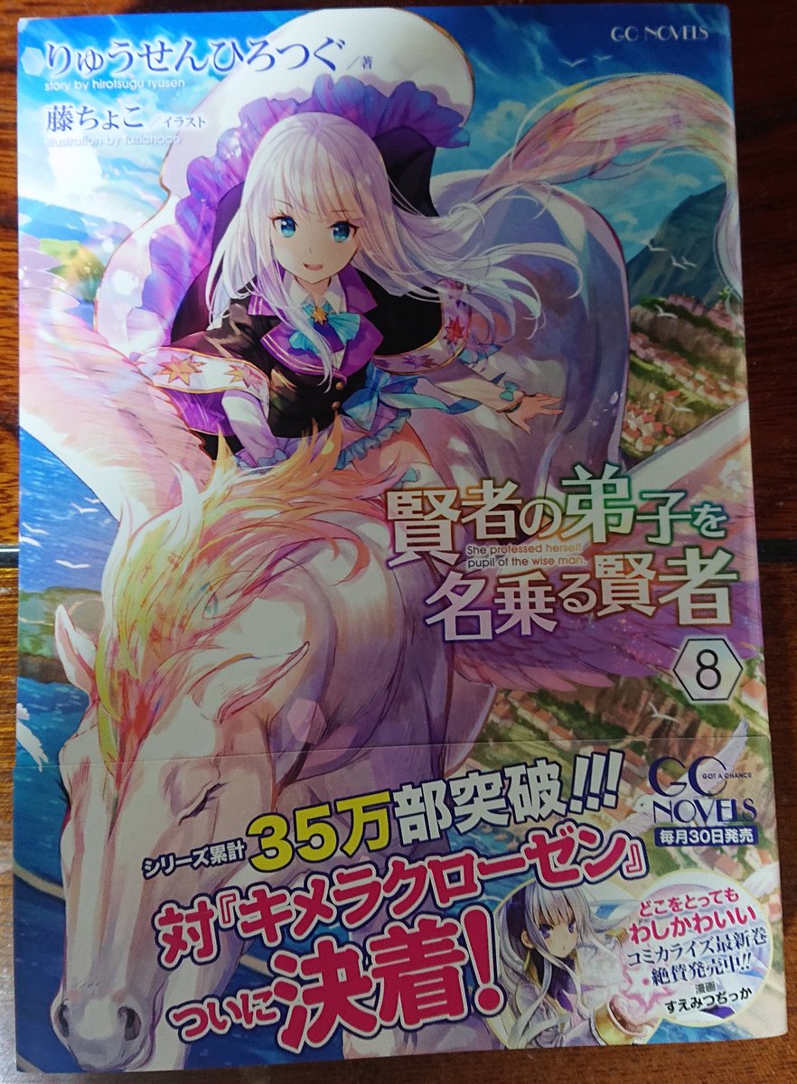 老賢者のはずが美少女に 賢者の弟子を名乗る賢者 Tvアニメ化 画族 老賢者のはずが美少女に 賢者の弟子を名乗る賢者 Tvアニメ化 画族