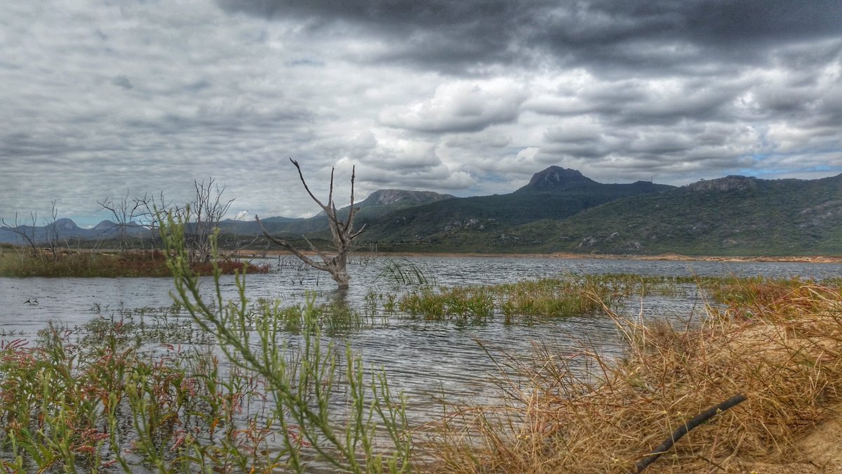 mutaretourism's tweet photo. According to @Zimparks "Osborne dam is the largest lake in the Manicaland region and is one of the major inland lakes in Zimbabwe."The area is a great attraction.Some of the activities are boating,fishing,camping,birding and walking safaris #VisitTomorrow @kpczim @Kumabvazuva https://t.co/RQeUktVHoJ