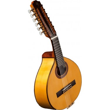 (9) The Ban also give name to some ancient musical instruments such as: the BANjo, or the BANdurria