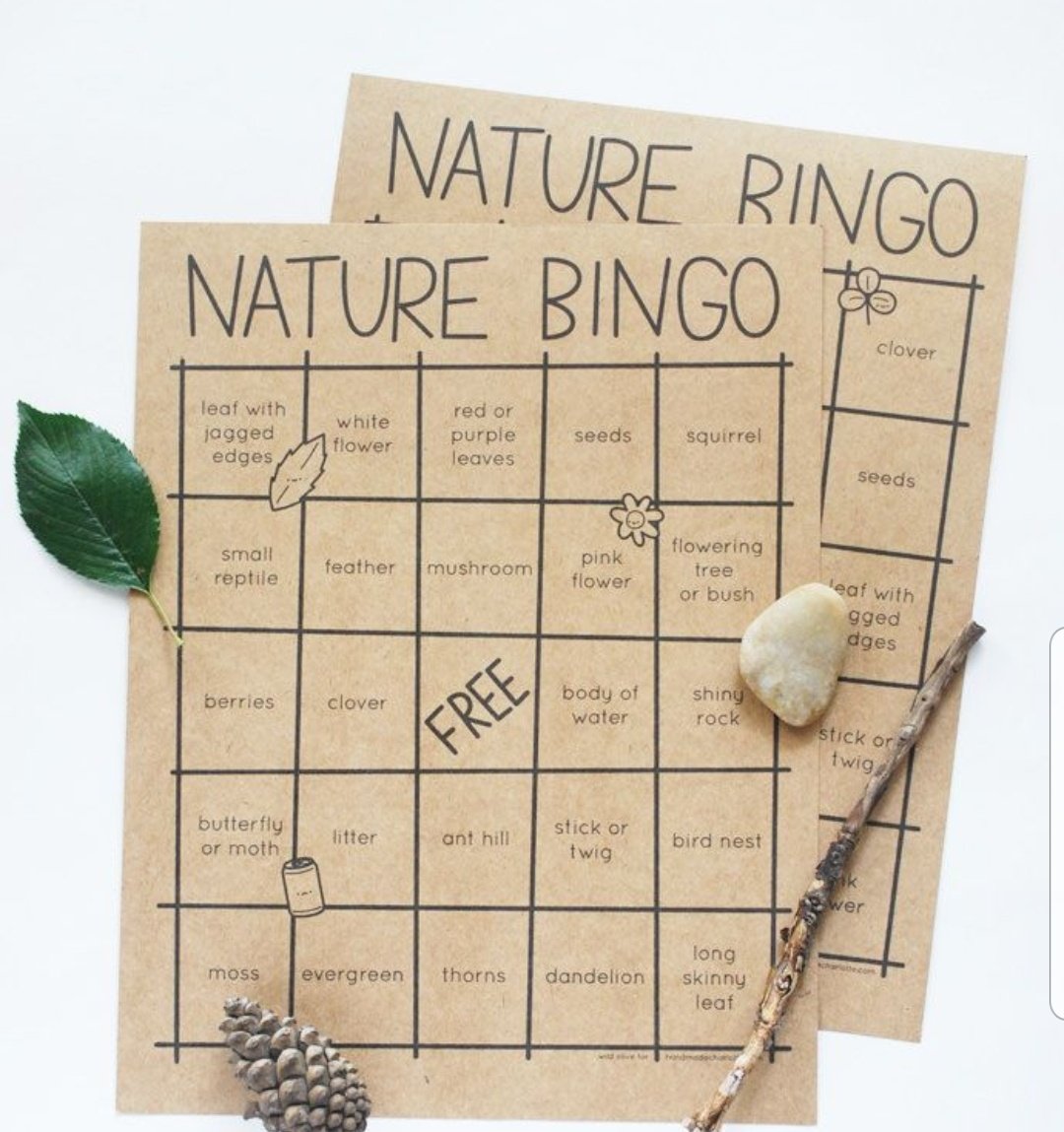 bolhs_science's tweet photo. Well being wednesday - why not make the most of the beautiful weather and try some nature bingo on your walk today? You can make up your own bingo grid to suit where you live #dontforgetsuncream #SocialDistancing https://t.co/T3anxm1pOx