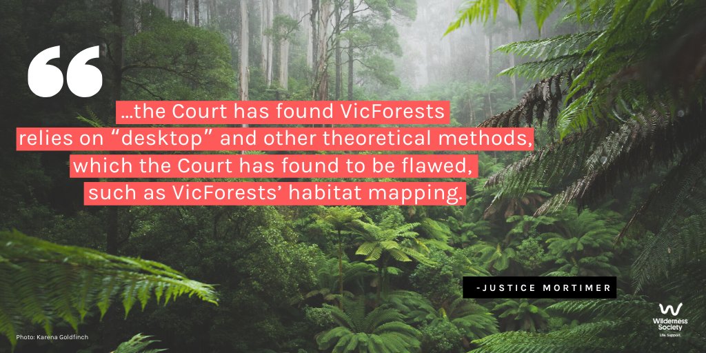 "..the Court has found VicForests relies on “desktop” and other theoretical methods, which the Court has found to be flawed, such as VicForests’ habitat mapping." - Justice Mortimer  #FLBPvVicforests  @LeadbeatersPoss  #LeadbeatersPossum  #logging  #GreaterGlider  #auspol  #springst