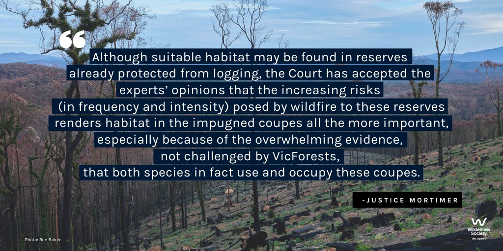 "...the Court has accepted the experts’ opinions that the increasing risks (in frequency & intensity) posed by wildfire to these reserves renders habitat in the impugned coupes all the more important,..."  #FLBPvVicforests  @LeadbeatersPoss  #auspol  #springst