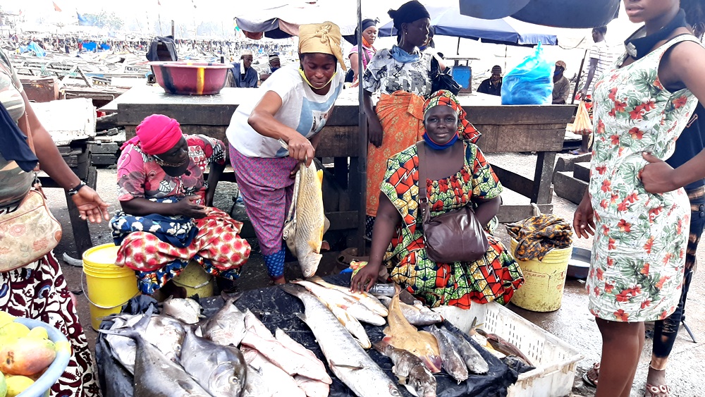 In #EU_Africa #SFPA, both partners should ensure:
#sustainable #fisheries management, the support to
coastal and #fishing #communities and the
protection of sensitive species.
Learn more:
bit.ly/3gakmCT