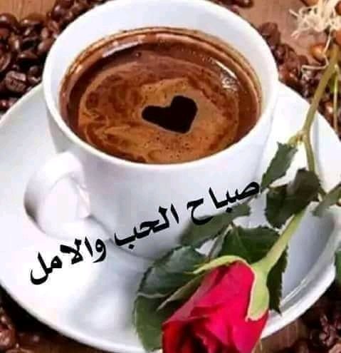 Sucrat3's tweet photo. @mshaellovd https://t.co/Z7yfJB0eFy