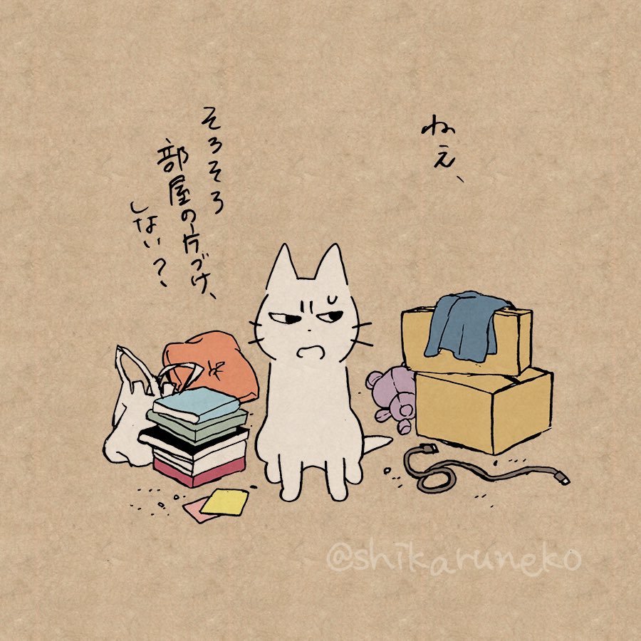 なかなか部屋が片付かない人を叱ってくれる猫 