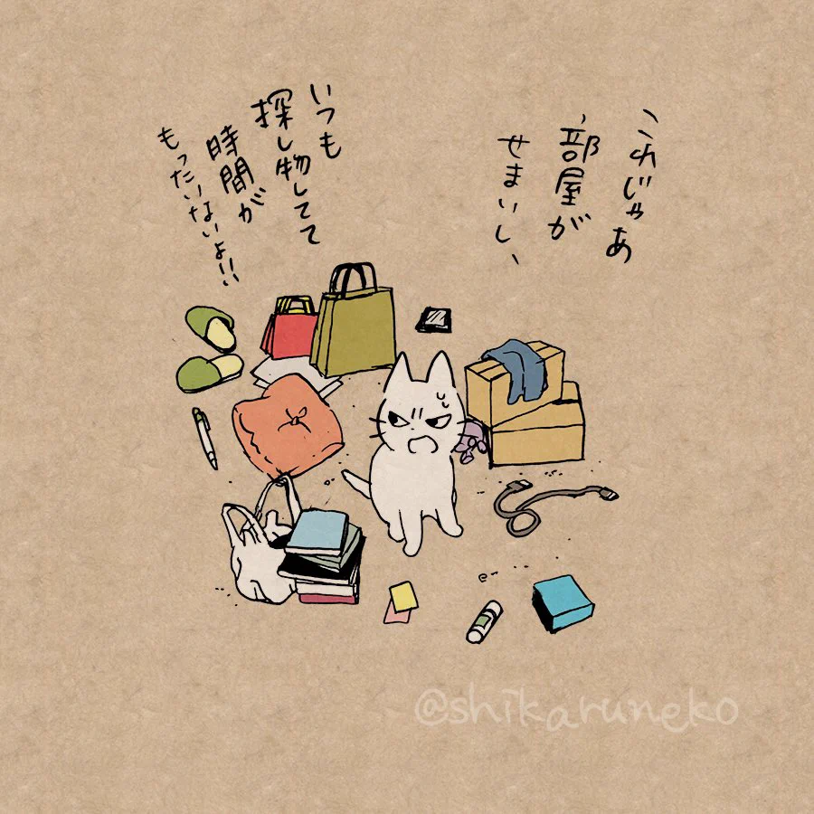 あぁ…耳が痛い…ｗｗ部屋が片付かない人を叱ってくれる猫ｗｗ