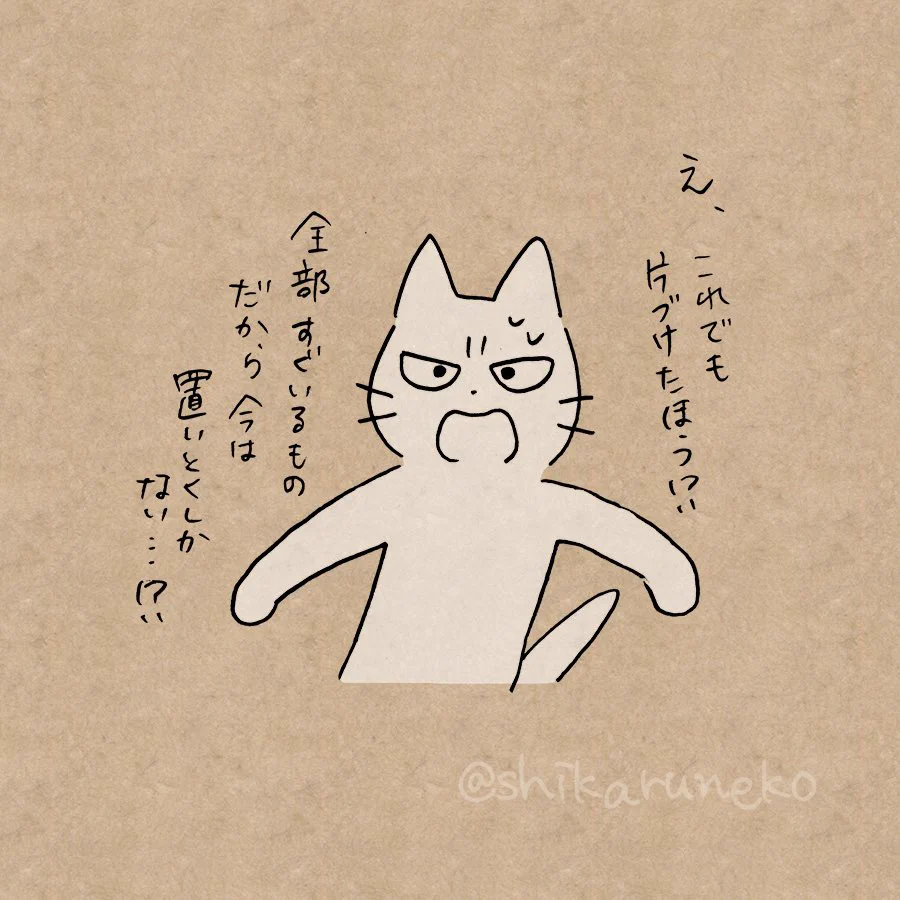 あぁ…耳が痛い…ｗｗ部屋が片付かない人を叱ってくれる猫ｗｗ