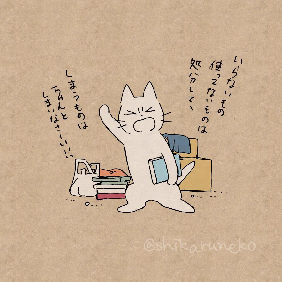 あぁ…耳が痛い…ｗｗ部屋が片付かない人を叱ってくれる猫ｗｗ