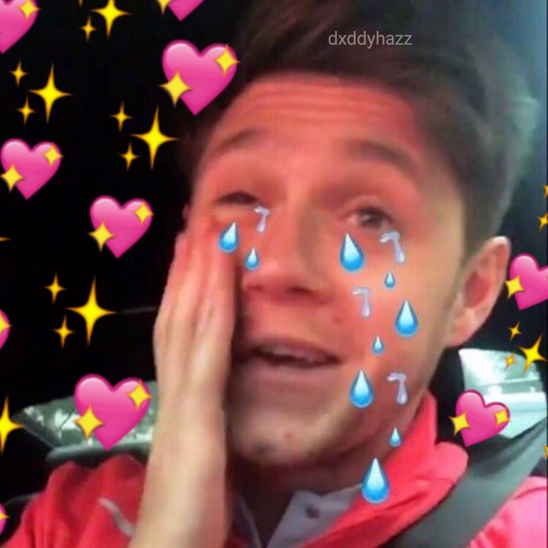 《niall horan memes as heartbreak weather songs: a thread》