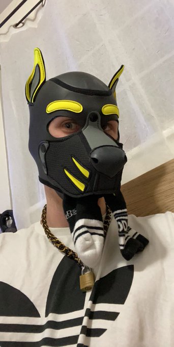 Choosing some of my fav puppy photos for @MrSLeather&rsquo;s #showyourkink challenge! https://t.co/oUe8Ymc<a class="tags" target="_blank" title="On Twitter" href="/?out=eyJ0eXAiOiJKV1QiLCJhbGciOiJIUzUxMiJ9.eyJpYXQiOjE3MjM2MzYzNTksImlzcyI6InR3cG9ybnN0YXJzLmNvbSIsIm5iZiI6MTcyMzYzNjM1OSwiZXhwIjoxNzU1MTcyMzU5LCJyZWRpcmVjdF91cmwiOiJodHRwczovL3R3aXR0ZXIuY29tL01yU0xlYXRoZXIifQ.0IgGFSAnIuIUMIJfXYxCmUma9CHN0CinogvHpuTPe2emb5meKSZ8zvru23qvPtSLStVezDjztLddmutE9wBcEg">@MrSLeather</a><a href="/tag/showyourkink"class="tags"><span>#showyourkink</span></a>