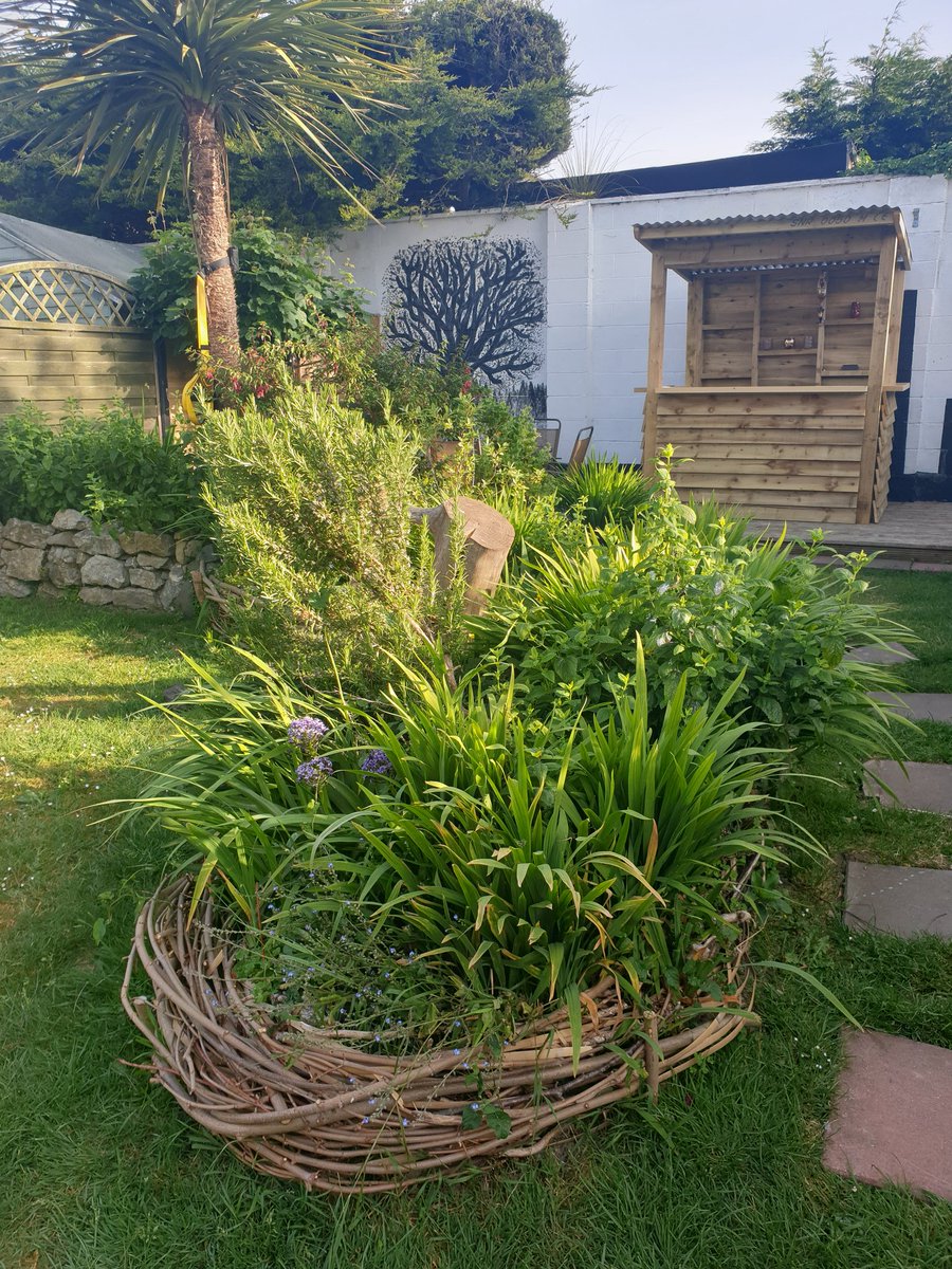 OrlaHand's tweet image. Our beautiful garden that my husband has created he made all the flower bed edging by hand with tree cuttings from our neighborhood and painted the wall murals 🌼🥀🌳 It's a truly wonderful space #BloomwithRTE #gardening #repurposing