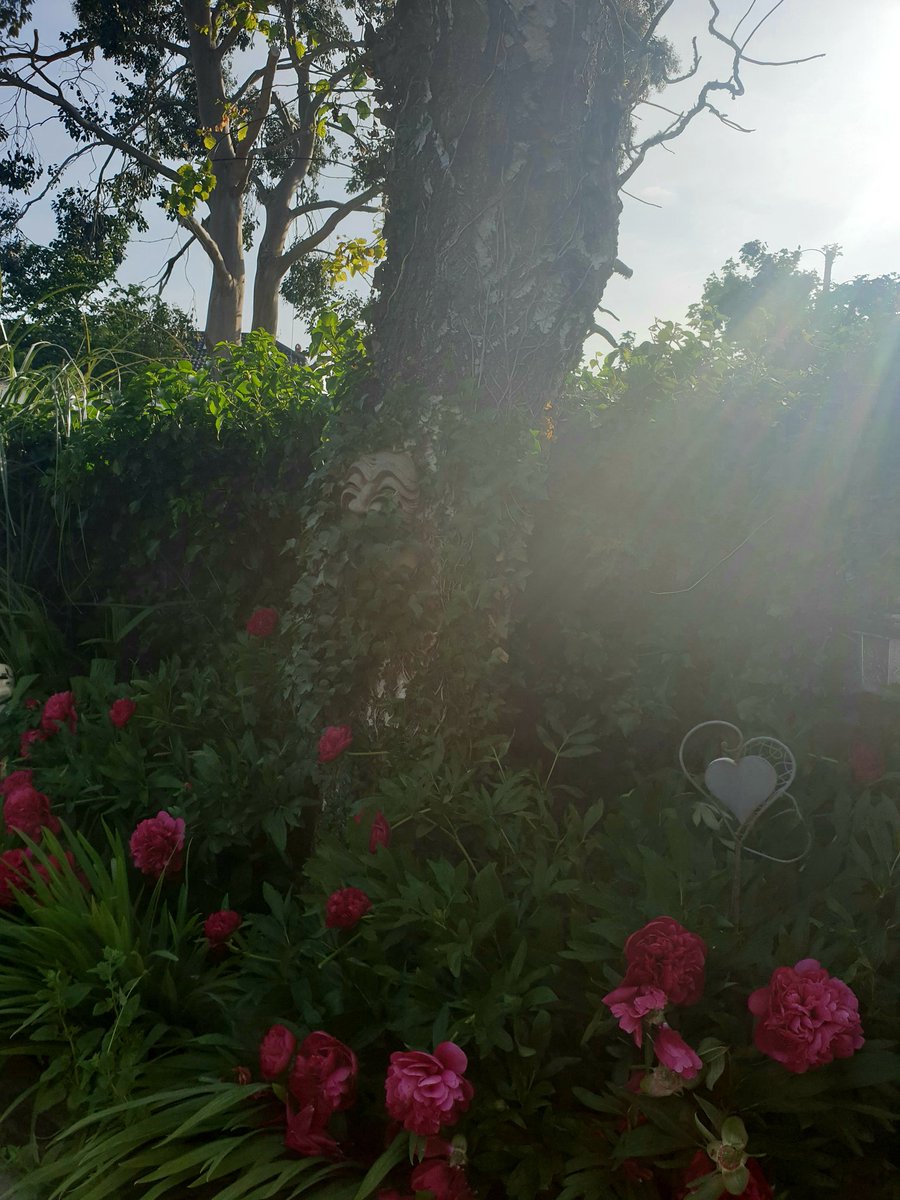 OrlaHand's tweet image. Our beautiful garden that my husband has created he made all the flower bed edging by hand with tree cuttings from our neighborhood and painted the wall murals 🌼🥀🌳 It's a truly wonderful space #BloomwithRTE #gardening #repurposing