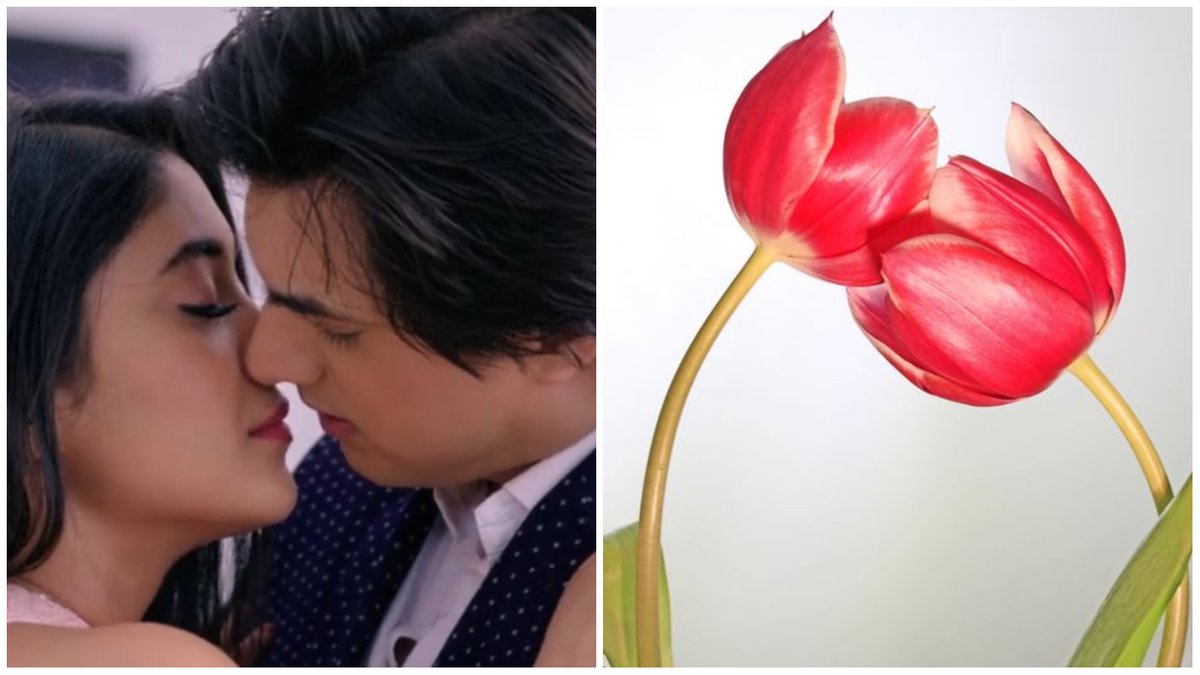 A thread of pre and post lockdown   #Kaira romance!
