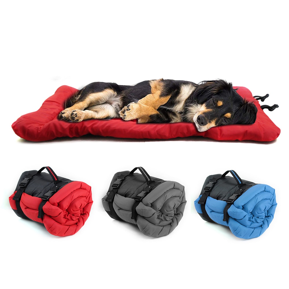 avoguishh's tweet image. Make sure your pet 🐶 is as comfortable as you are, treat them to one of our amazing Waterproof Portable 🍥 Pet Cushion!
buff.ly/2yCR3rU
#avoguish #petcushion #pettoys #catcollar #petbeds #catfashion #petaccesories #loveyourpets #petfashion #petbed #catbed 🐶 #petbed #cat