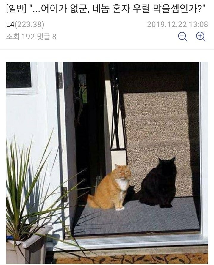 utzzal1's tweet photo. https://t.co/NwBuJ63B3a