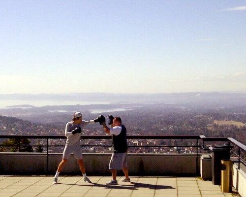 — harry styles boxing; a very necessary thread 