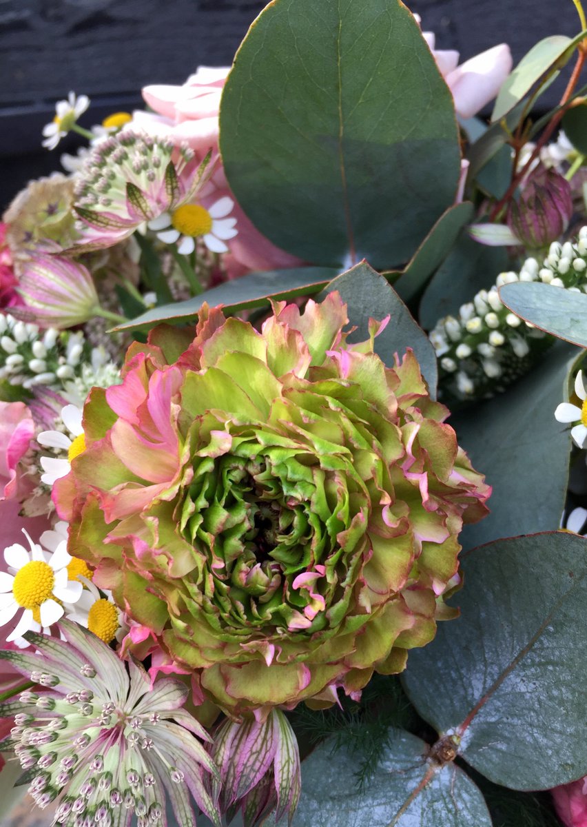 Good morning, how are we all today? Here’s one of our beautiful vintage arrangements made this Spring #vintageflowers #pompomranunculus #hatboxarrangements #localdeliveries #contactlesscollections #flowerarrangements #suffolkflorist