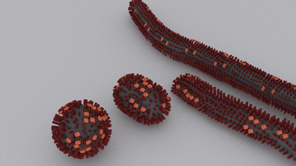 … along with another view of influenza viruses, here:  https://sketchfab.com/3d-models/a-variety-of-influenza-virus-particles-9853fc3934c6435a9d46857e61428934 … (12/13)