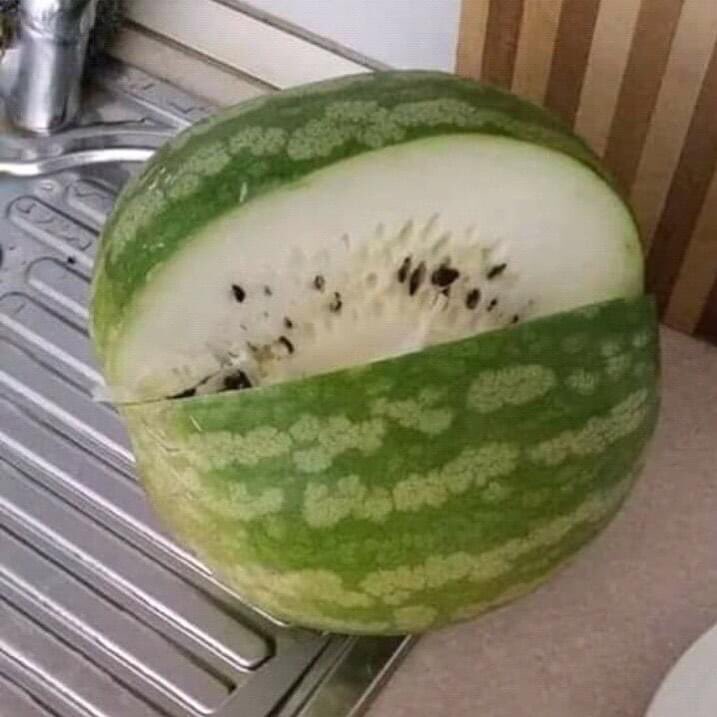 Karpuzu da bozdular😂