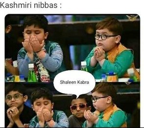 Shahid__Mukhtar's tweet image. Today is another review for the restoration #4GinKashmir.

Meanwhile #Kashmiri #Nibbas: