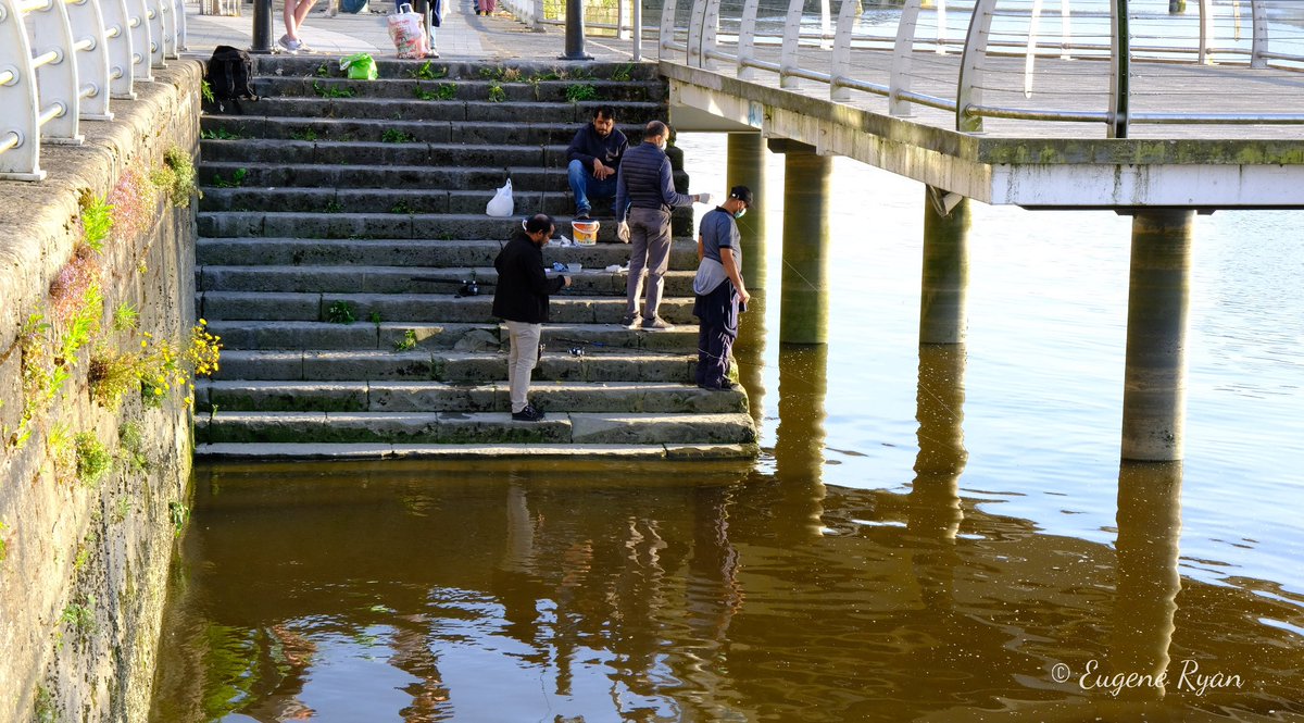 eugenesjourneys's tweet photo. We walk it's banks and quays, it's boardwalks and bridges.
For others there's a reason to stay, casting their line, hoping to catch. 
Fishing on the Shannon and Abbey rivers is as old as Limerick itself. 

#fishing #limerick #shannon
 @waterwaysirelan @LACELimerick @Limerick_ie https://t.co/a05bKf6t7a
