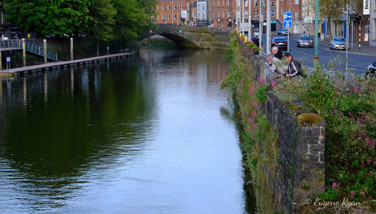 eugenesjourneys's tweet photo. We walk it's banks and quays, it's boardwalks and bridges.
For others there's a reason to stay, casting their line, hoping to catch. 
Fishing on the Shannon and Abbey rivers is as old as Limerick itself. 

#fishing #limerick #shannon
 @waterwaysirelan @LACELimerick @Limerick_ie https://t.co/a05bKf6t7a