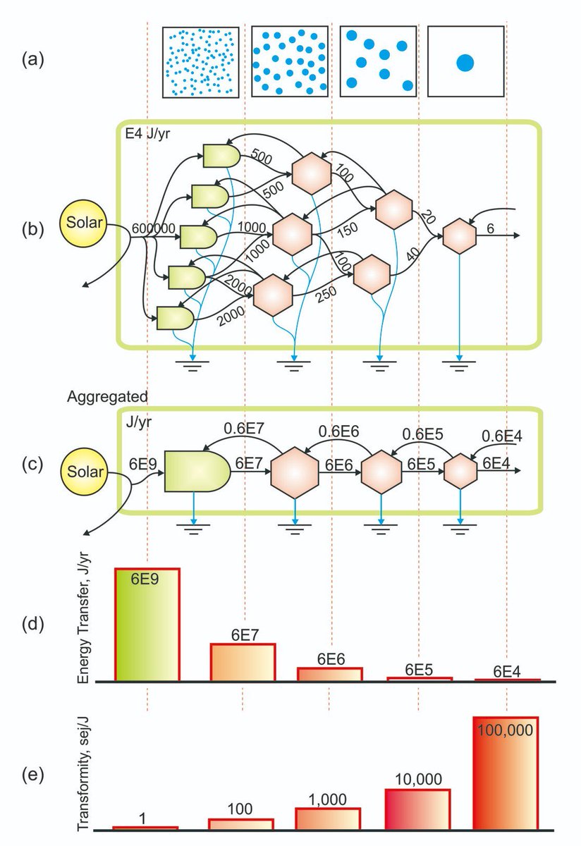 Understanding how things are formed helps us understand their position in trophic webs: networks of transformation.  https://twitter.com/buildsoil/status/1245482032953569280?s=21