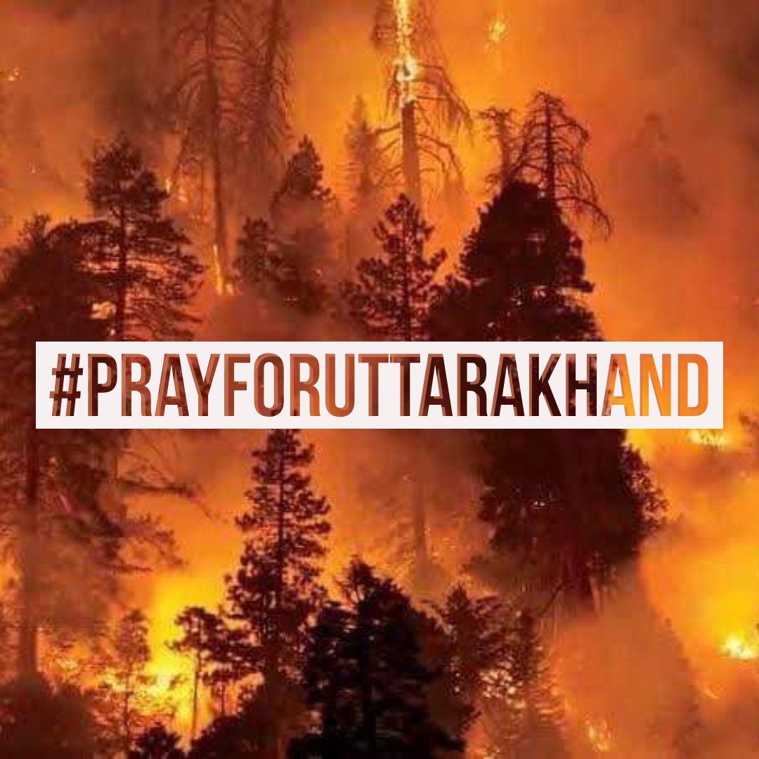 When I plan my vacations, #Uttarakhand always comes to my mind. 

Now the Forest of Uttarakhand is on fire, I can imagine the horrific deaths of wild animals. It is time, we Indians stand with the state. Are you with me?

#UttarakhandForestFire
#PrayForUttarakhand