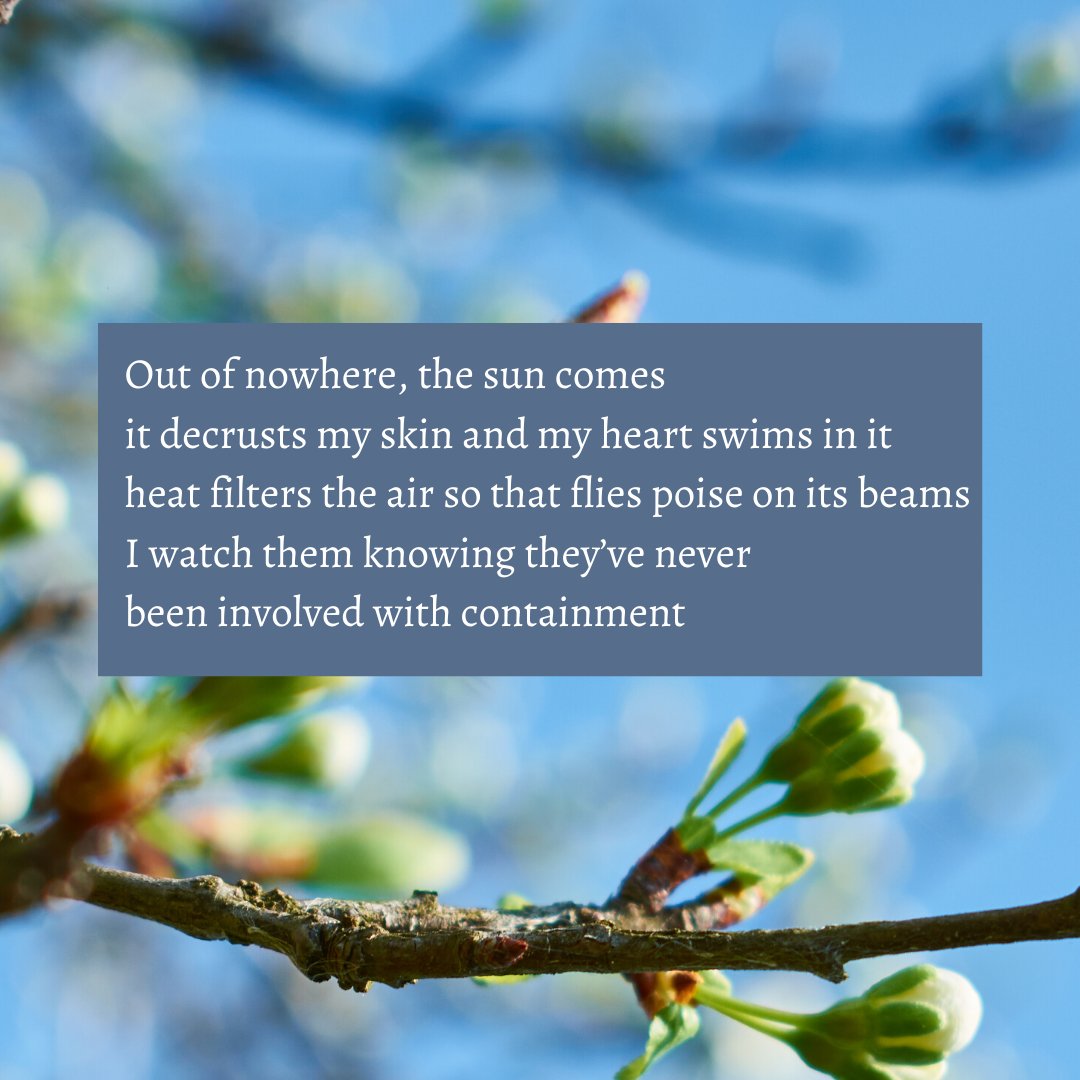 BornLippyNE's tweet photo. Itβs weird being indoors a lot during the season when everything has come to life. Ellen Moran's reflections on the matter are here in poetic form! #poetry #poetrycommunity #spokenword #lockdown2020 #reflections #poetweet #poet #bornlippy https://t.co/SUEqwyLpkJ