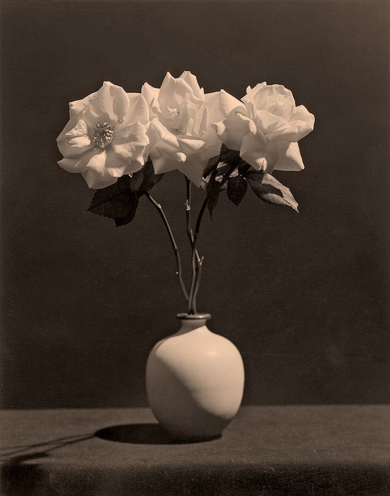 Three roses in a vase, 1983 © Robert Mapplethorpe