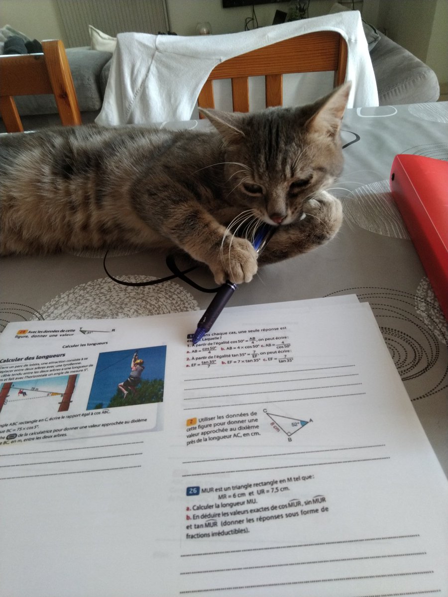 JetL5501's tweet photo. Si ça pouvait être comme ça en cour... https://t.co/NjIY5HHO2u