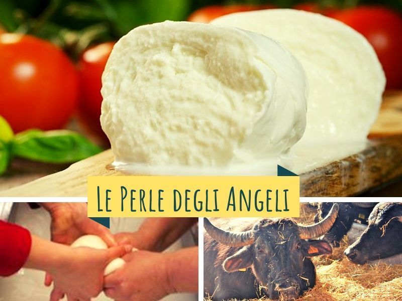 Diamo il benvenuto su <a href="/Kalulu_it/">Kalulu</a> agli amici del caseificio Le Perle Degli angeli che questa settimana ci propongono #mozzarella, #stracchino, #formaggio semi-stagionato, #provola, #yogurt bianco, #scamorza, #ricottina e #treccia di bufala; buff.ly/2TdniVD ⤵️