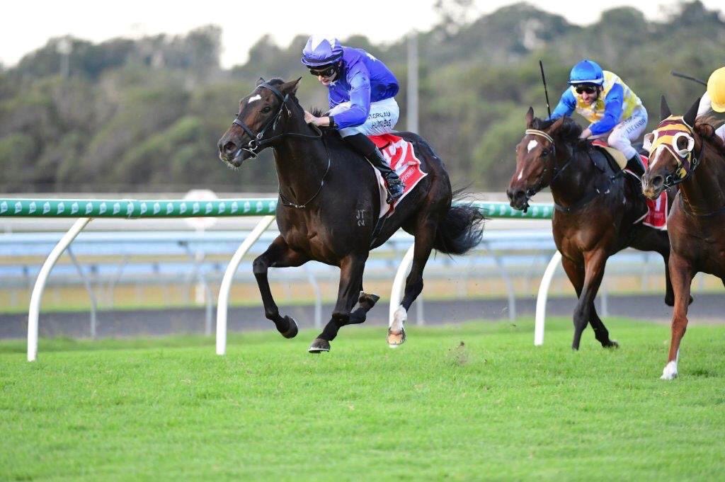 FI FI NO FUSS pins her ears back en route to her maiden win <a href="/SCTurfClub/">SCTurfClub</a> today for <a href="/justinh_23/">Justin Huxtable</a> <a href="/MunceC/">Chris munce</a> <a href="/RaceQLD/">RaceQ</a> 
📸 Trackside Photography