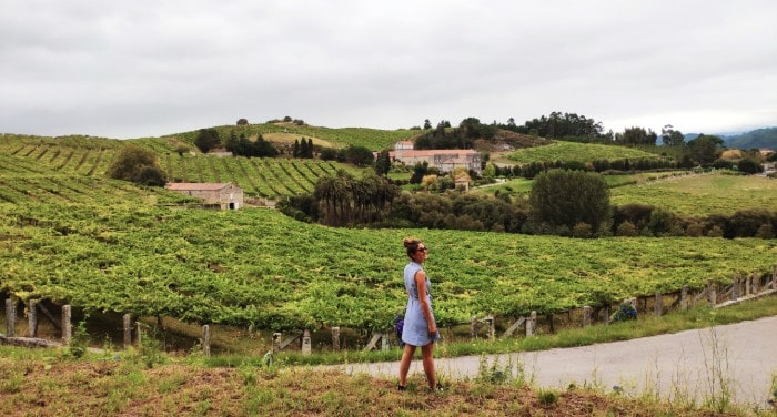 Mundo Turístico tweet media