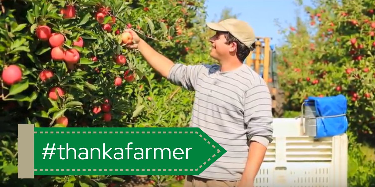 COVID-19 calls for distancing every day to keep the doctor away, but Schuyler Farms is still growing apples for us to enjoy in pies, smoothies, and snacks. Thank you <a href="/BrettSchuyler/">Brett Schuyler</a> for growing healthy and nutritious food for us to enjoy now and in the future. #thankafarmer