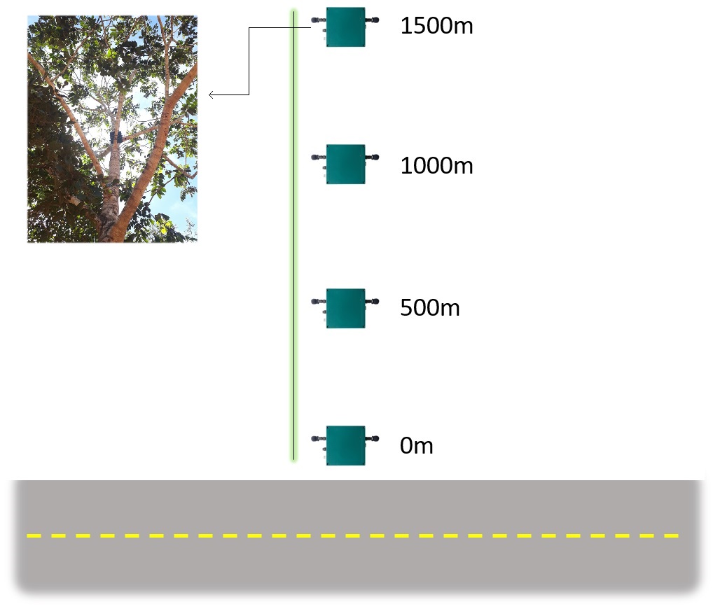 ramalho_danielf's tweet photo. 2 #WBTC1 #BatLand1 We built transects in three different types of roads and used #SM2BAT recorders to register bats. We evaluated if activity and diversity were influenced by distance from the road and road type (among others). https://t.co/poJJIDn03X